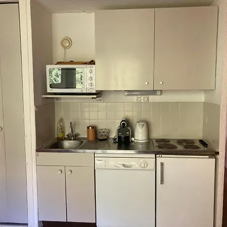 Apartment Le Pleynet, 2 Pieces, 6 Personnes - Fr-1-557a-49 La Ferriere (Isere)